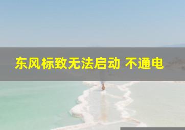 东风标致无法启动 不通电